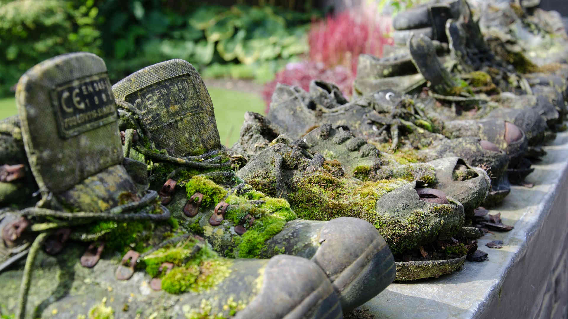 Eine Sammlung alter ausgemusterter Wanderschuhe steht aufgereiht im Freien. Auf ihnen hat sich schon viel Moos angesiedelt.